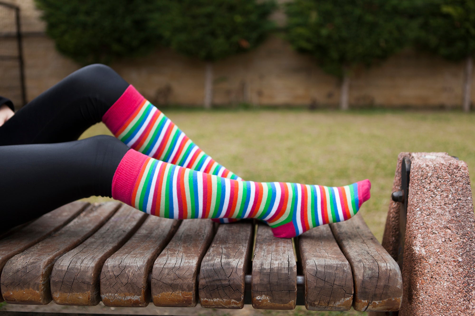 Women's Pink Blush Stripe Knee High Socks