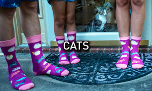 cat socks