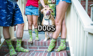 gods socks