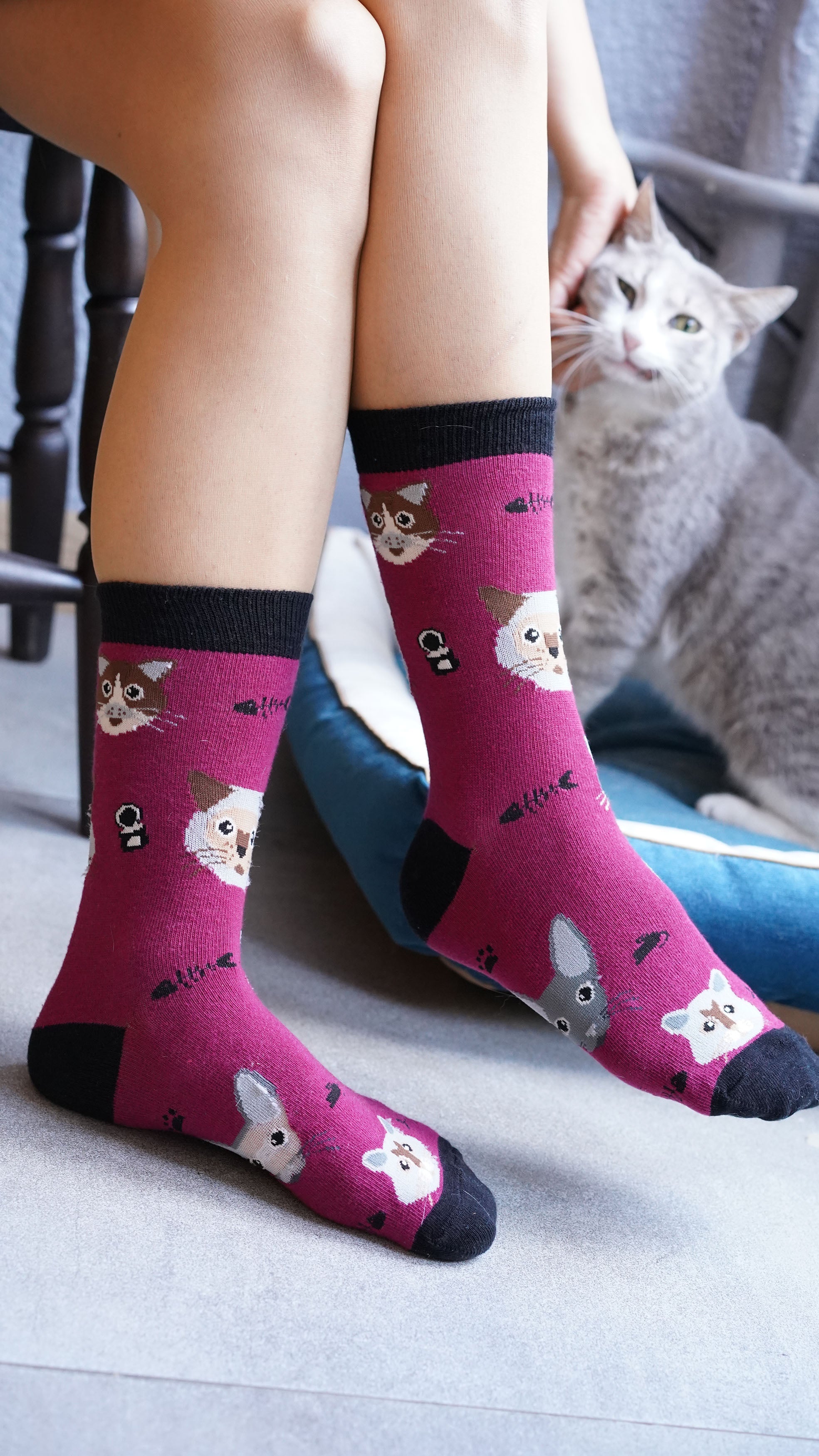 Women's Cute Cats Socks