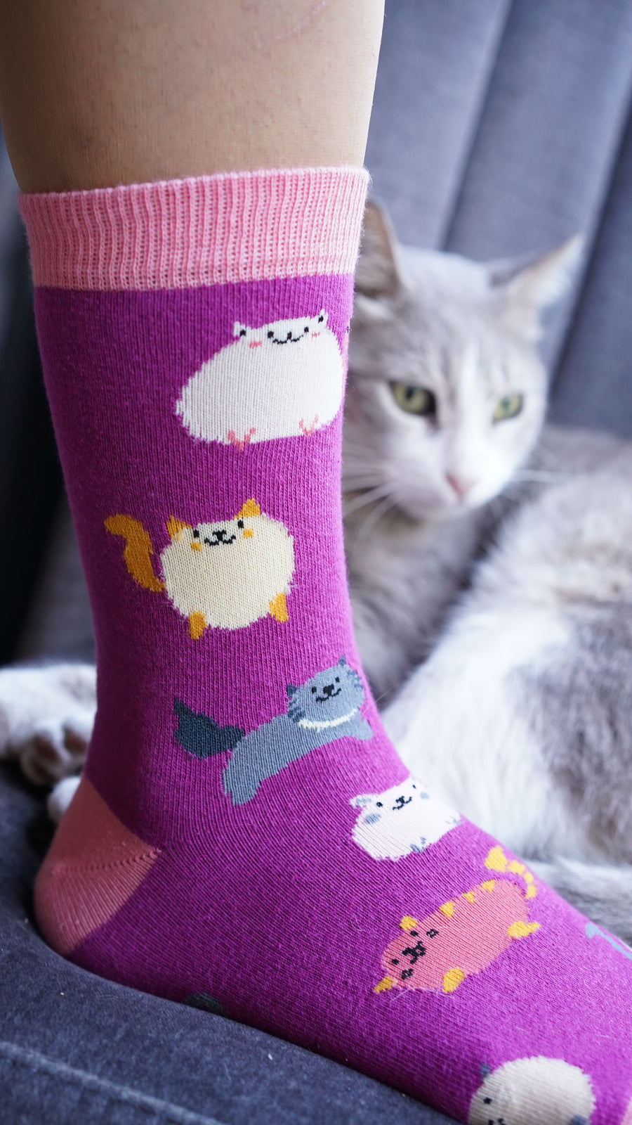 Women's Fatty Cats Socks