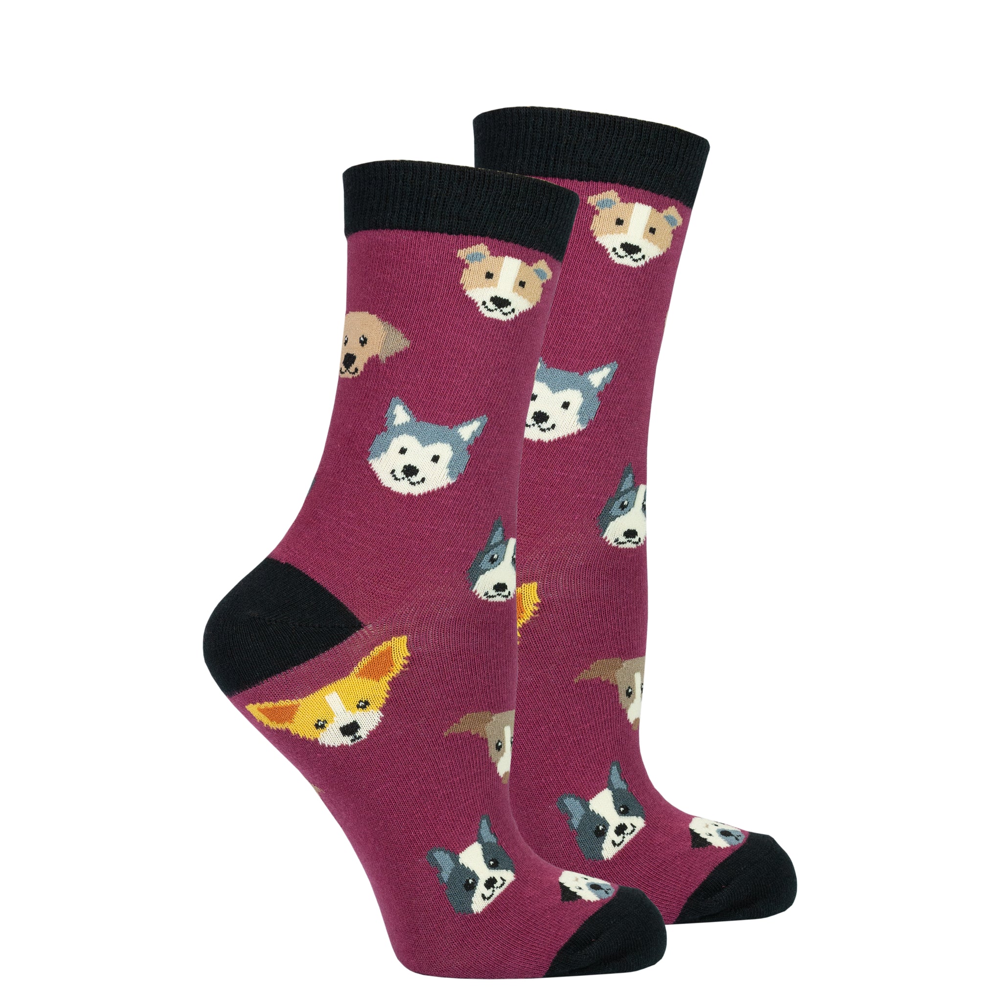 Women's Cute Dogs Socks