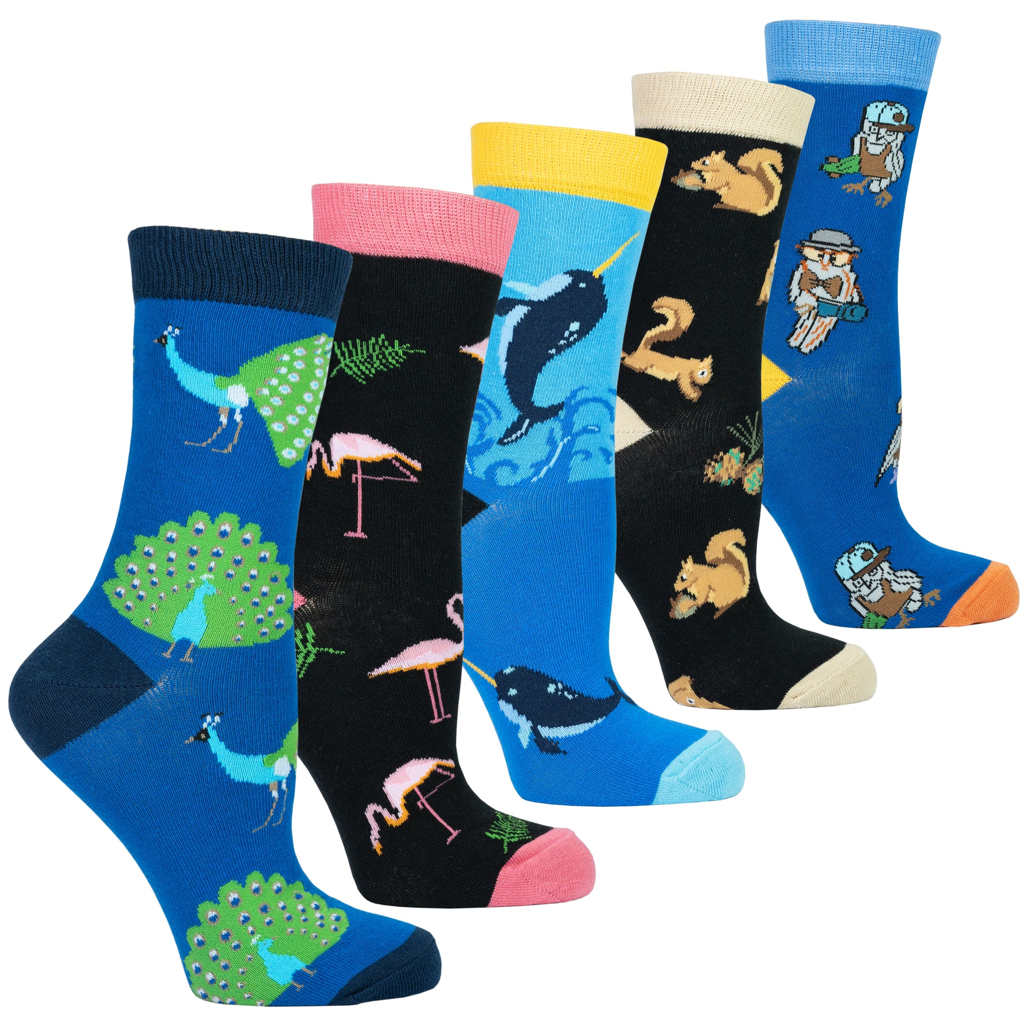 Women's Animal Planet Socks Set