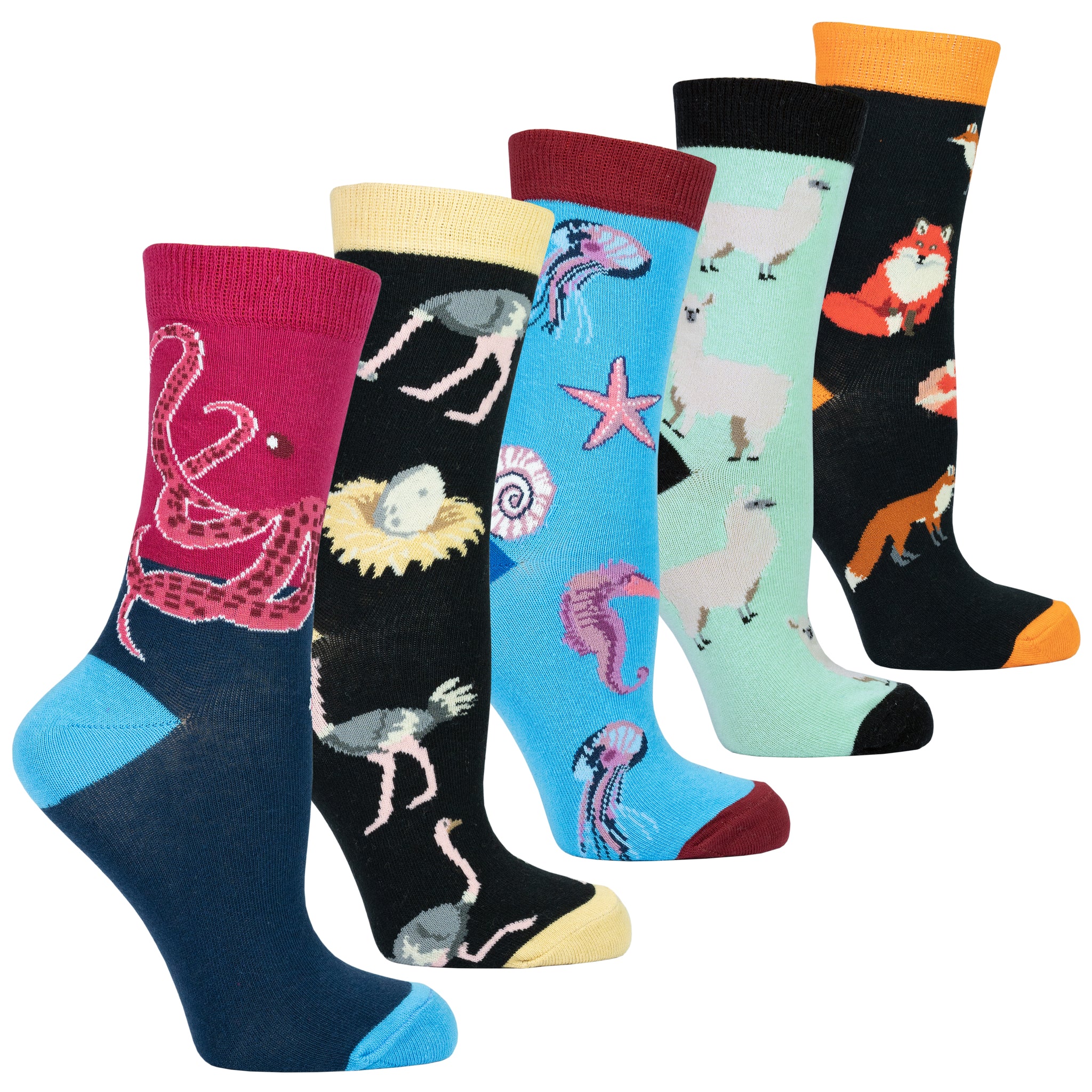 Wildlife Socks Bundle