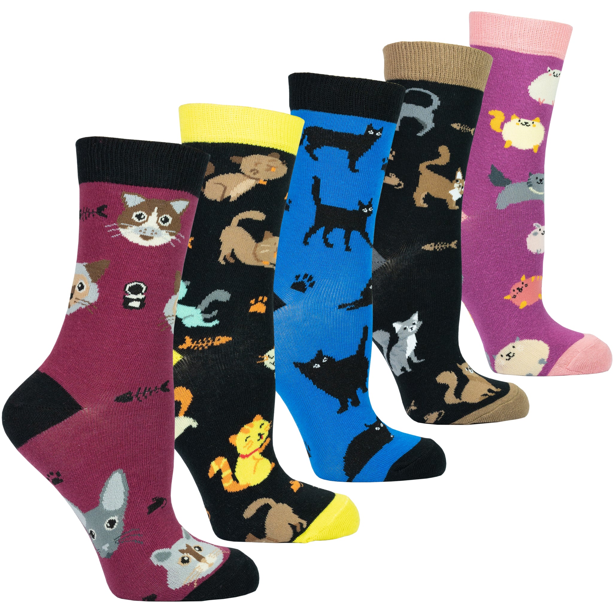 Women's Cute Cats Socks Set