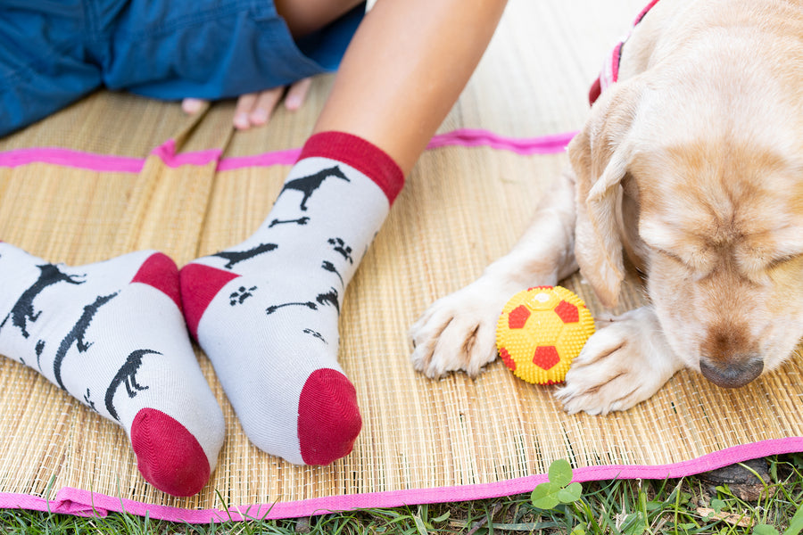 Kids Shadow Dog  Socks grey and red