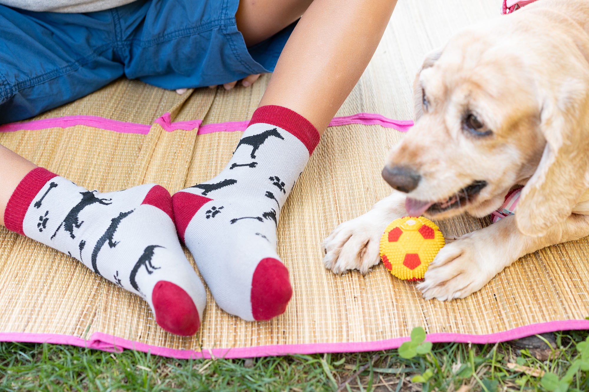 Kids Cute Dogs Socks 5-Pack - Socks n Socks