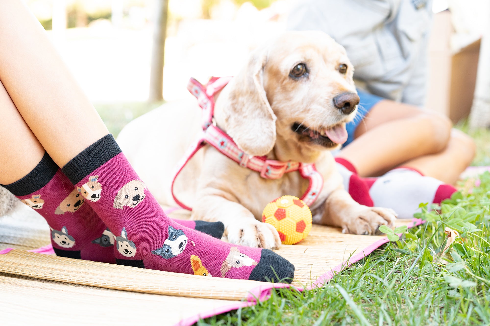 Kids Cute Dogs Socks