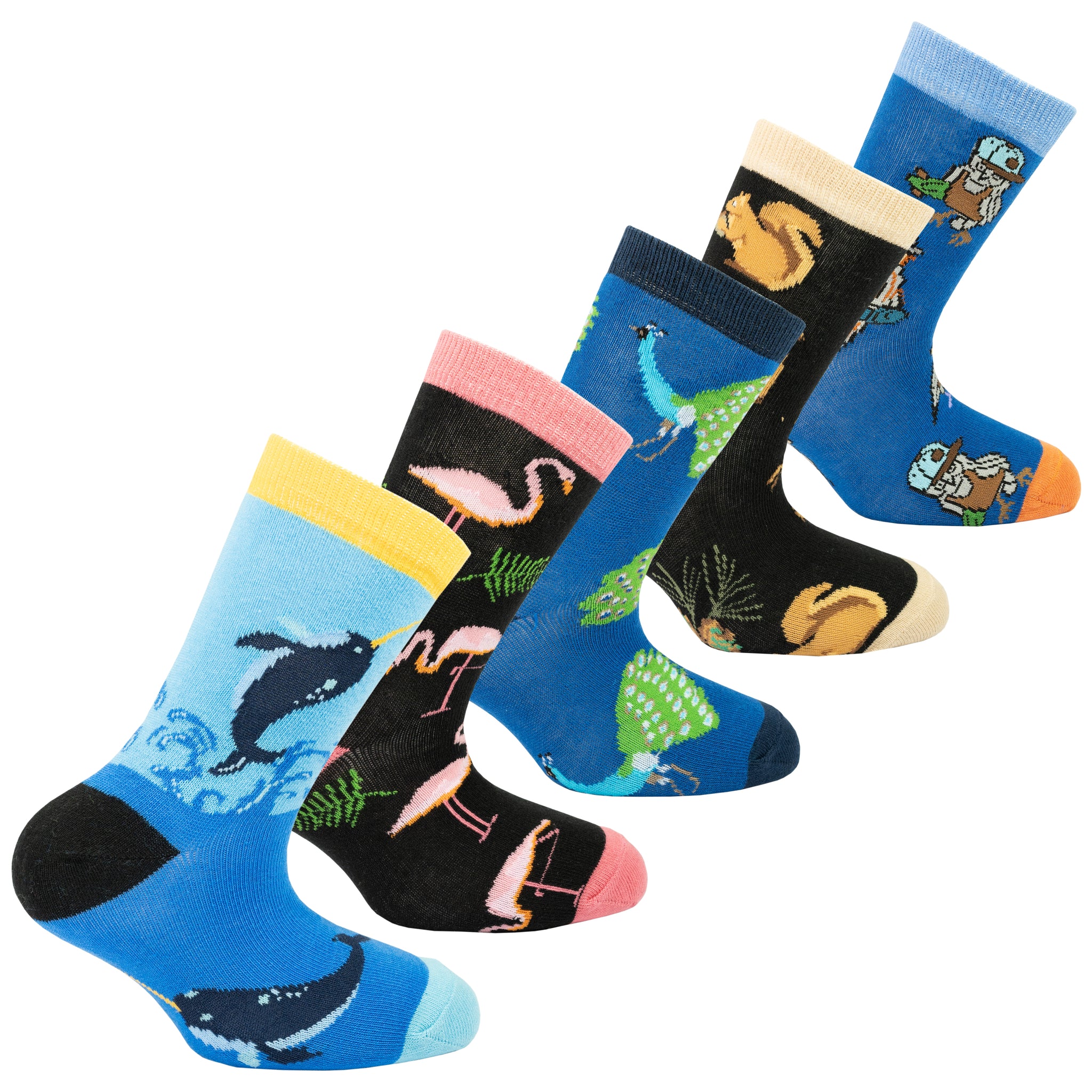 Kids Animal Planet Socks colourful