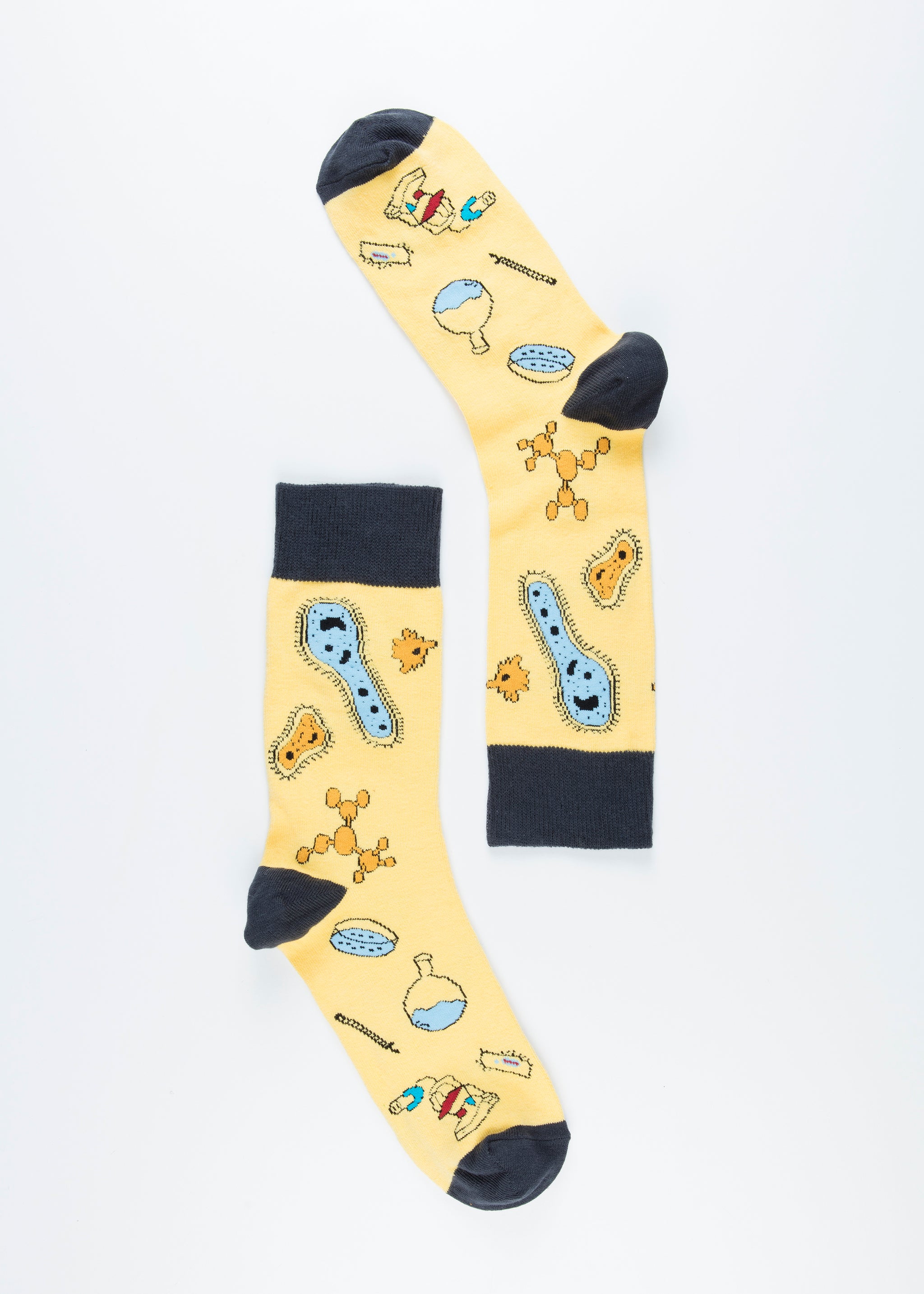 Men's Biology Socks
