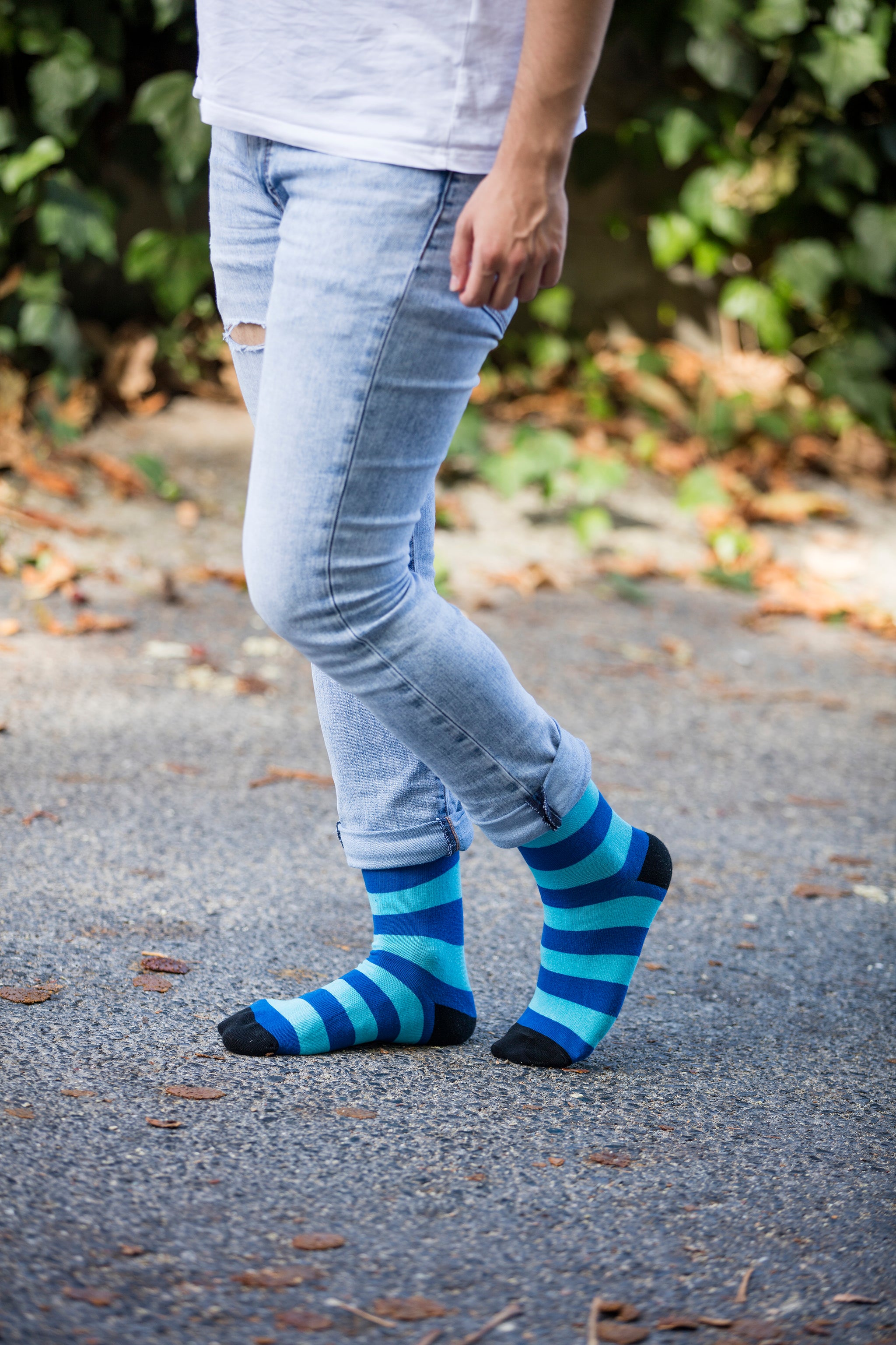 Men's Fresh Stripes Socks