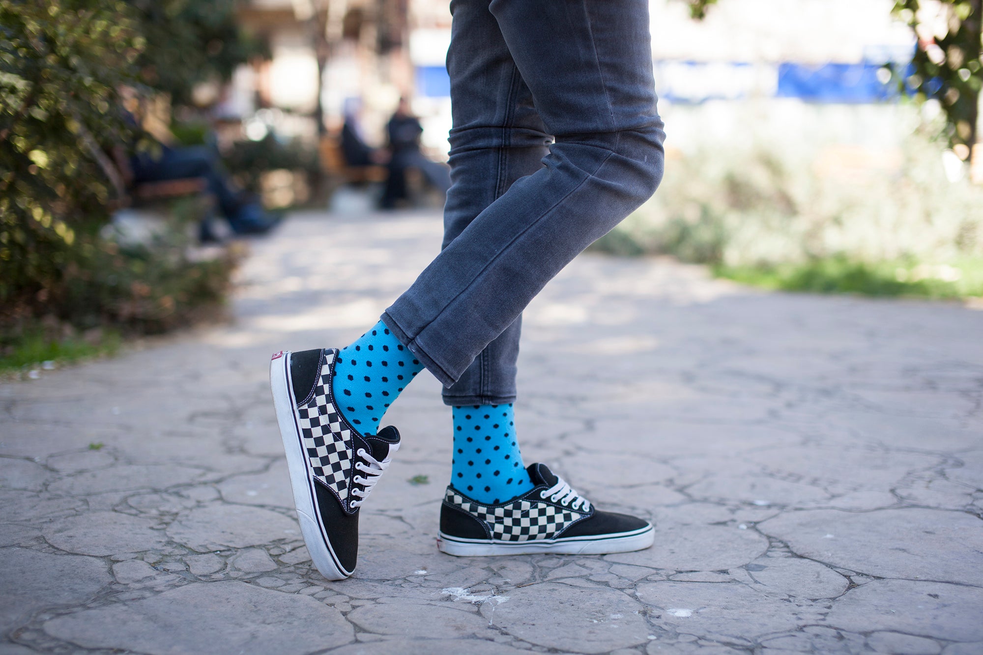 Men's Bluebird Dot Socks