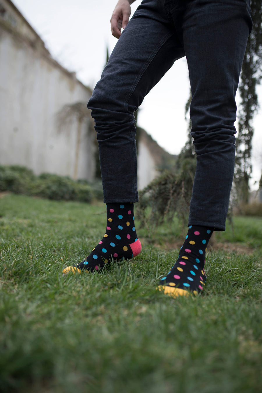 Men's Colorful Spots Socks