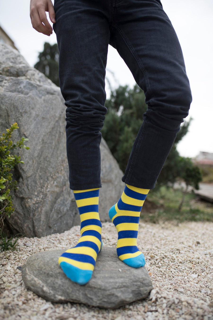 Men's Lemon Sky Stripe Socks