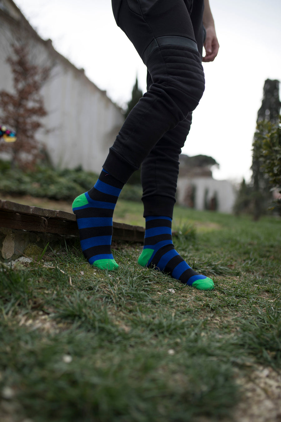 Men's Admiral Green Stripe Socks