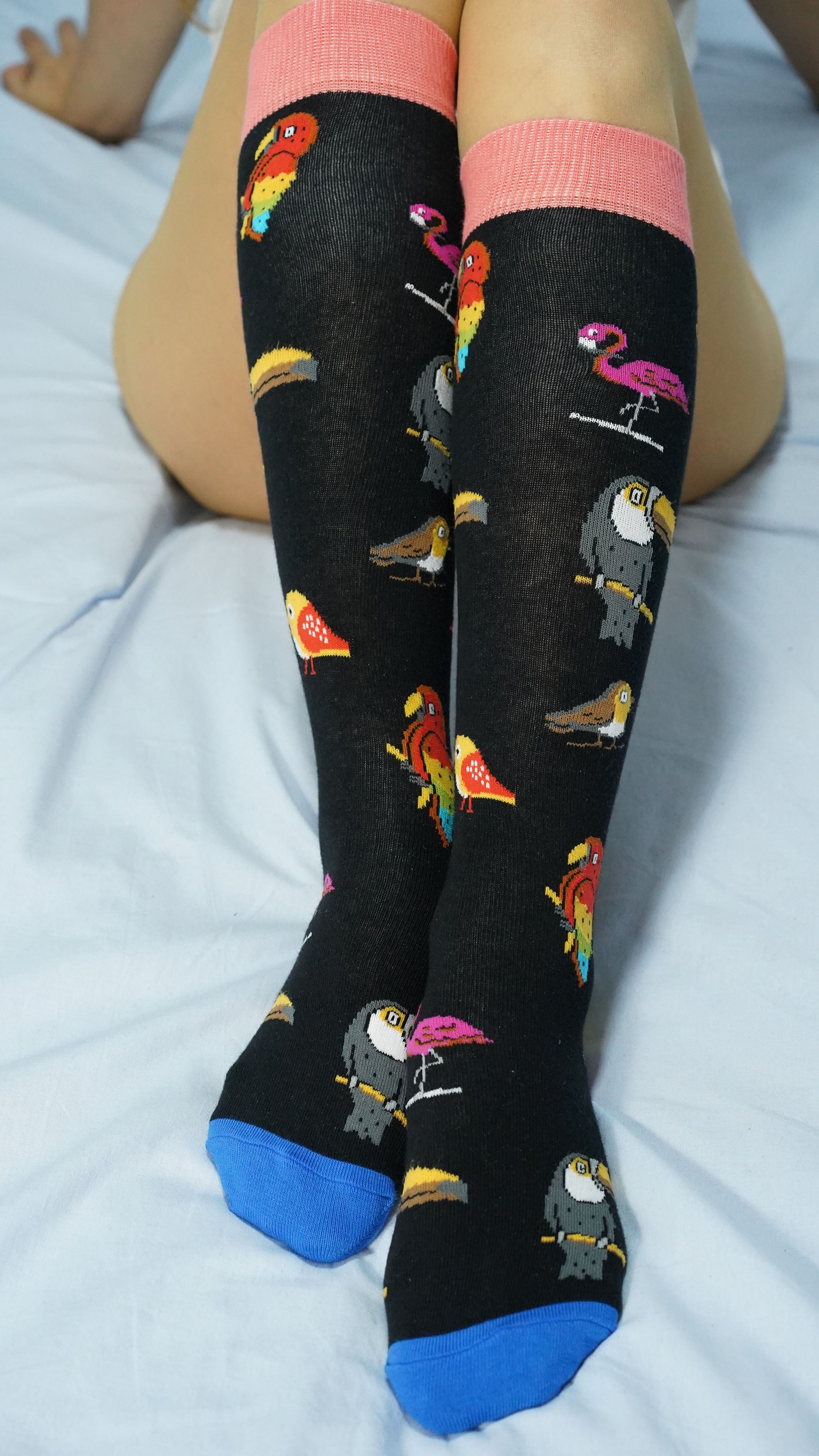 Women's Wild Birds Knee High Socks