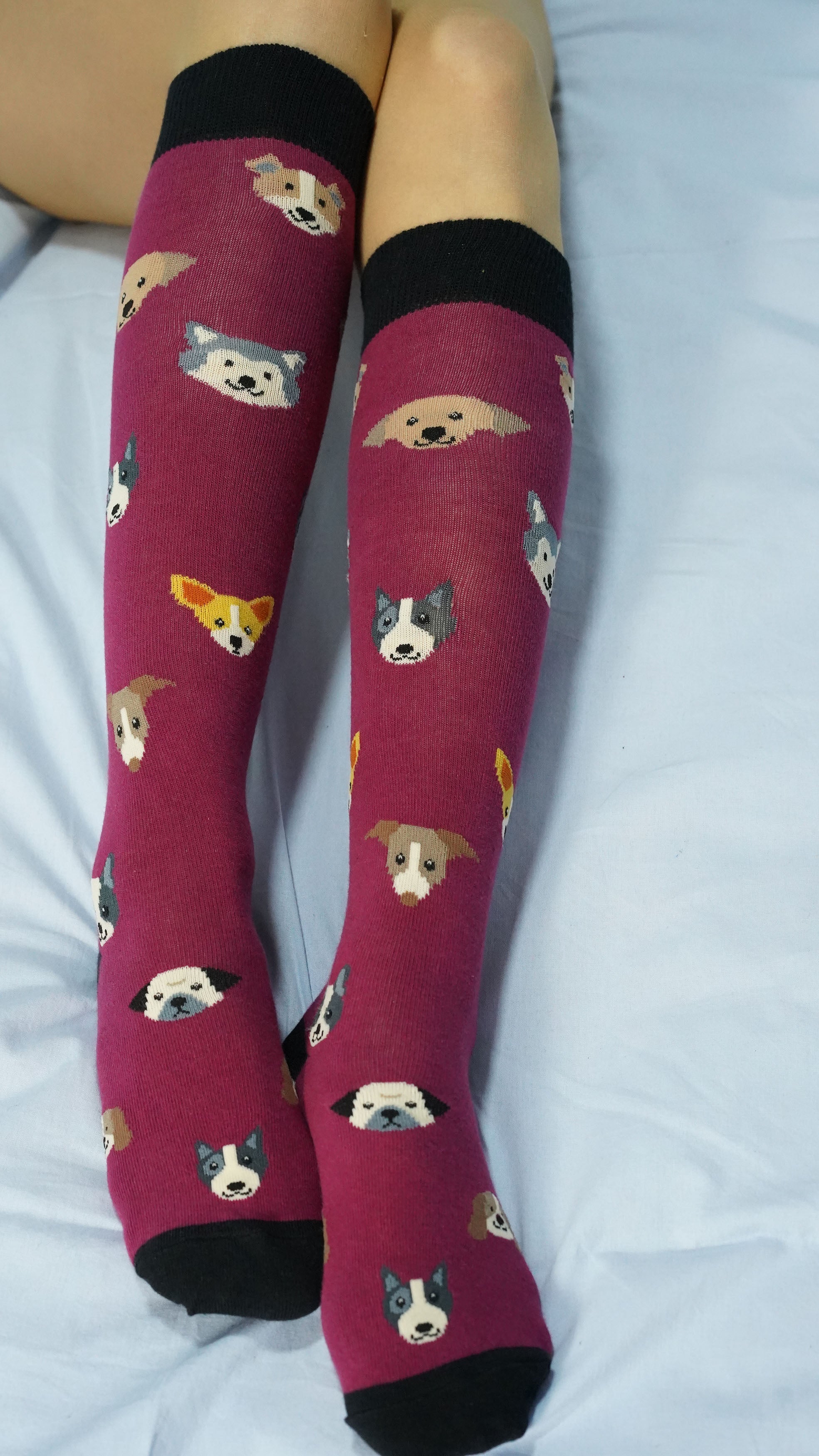 Women's Cute Dogs Knee High Socks Set