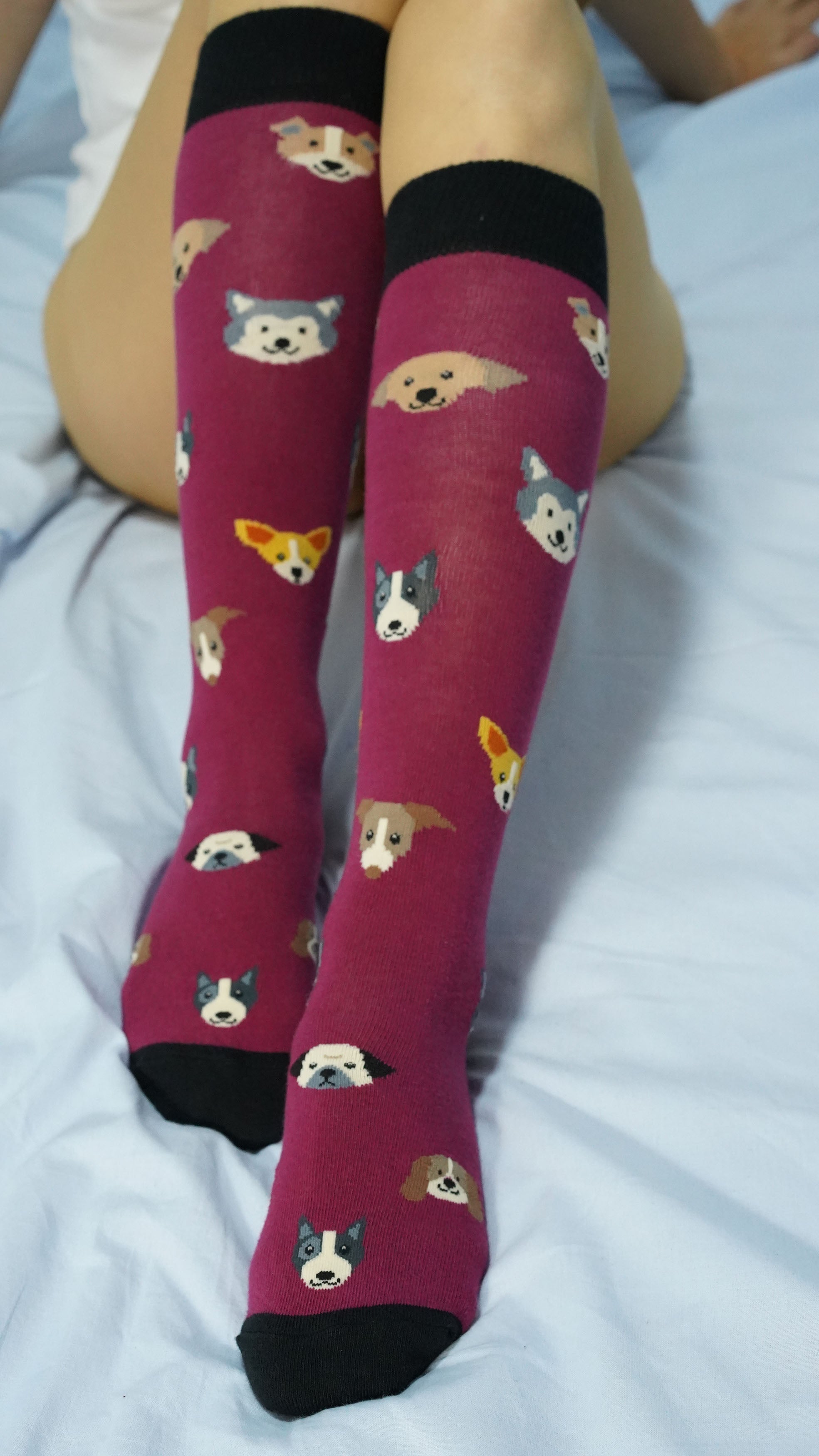 Women's Cute Dogs Knee High Socks