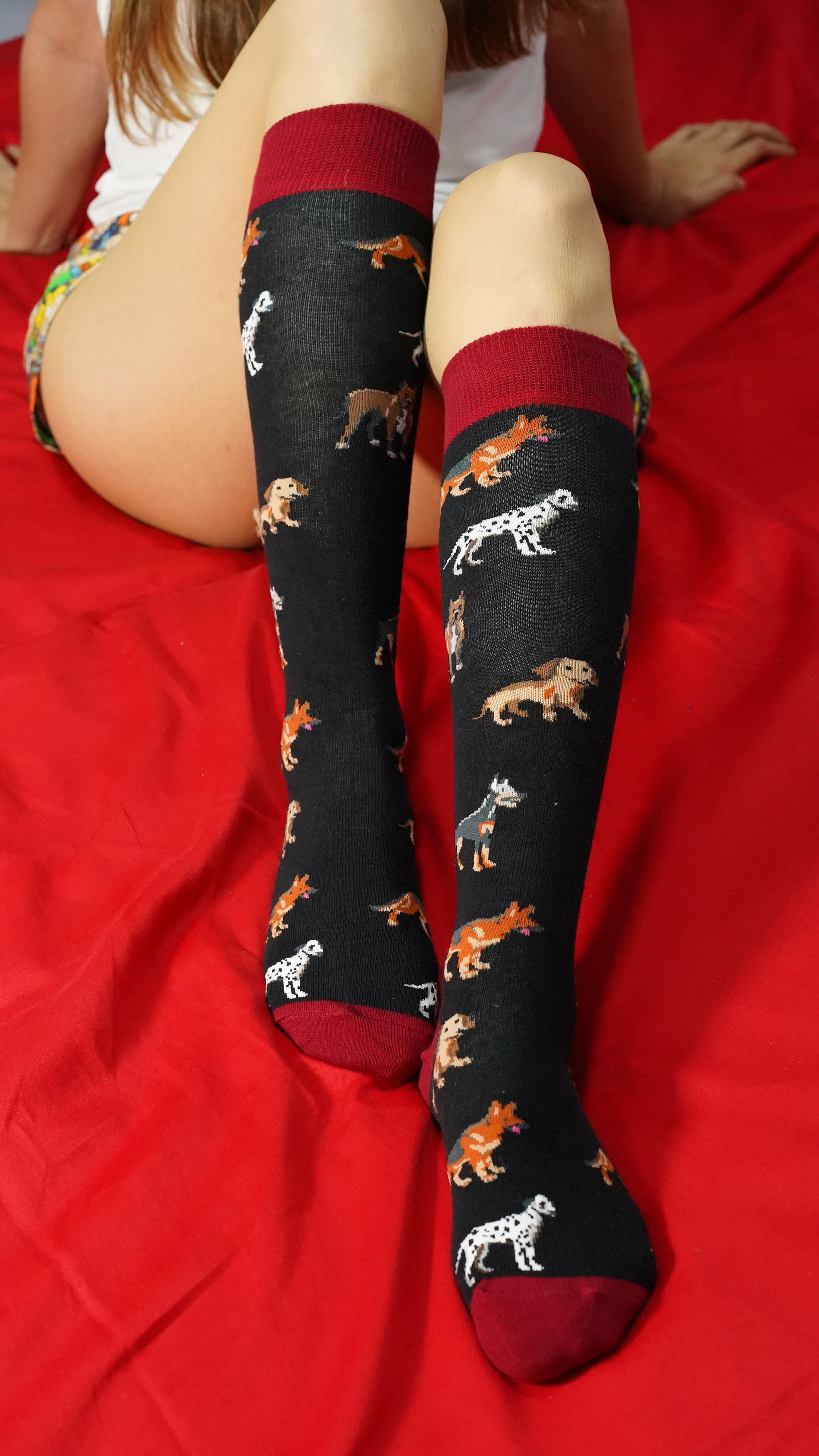 Women's Cute Dogs Knee High Socks Set