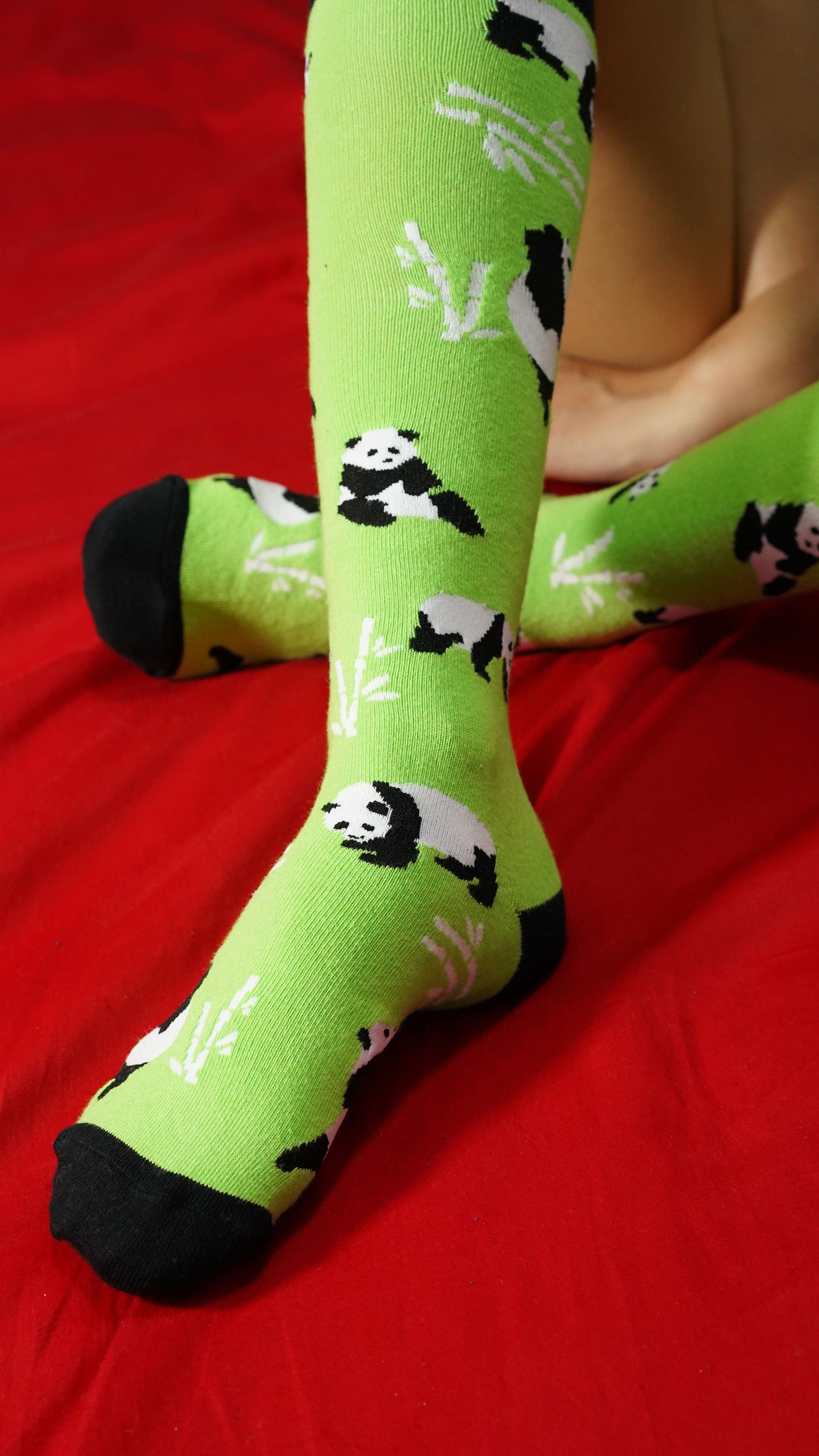 Women's Silly Panda Knee High Socks