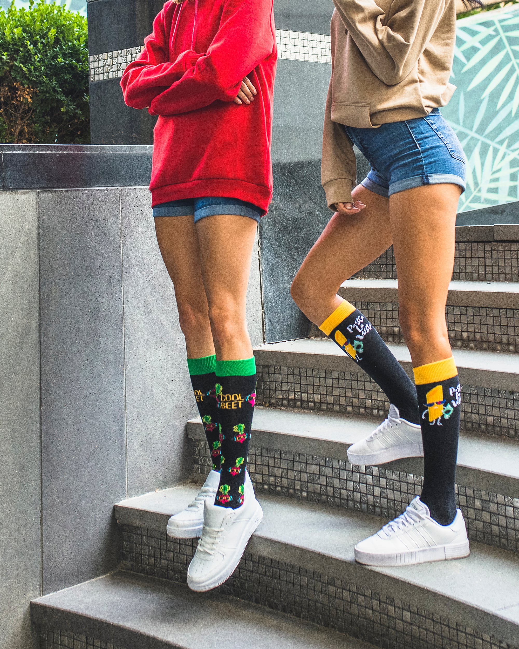 Women's Cool Beet Knee High Socks