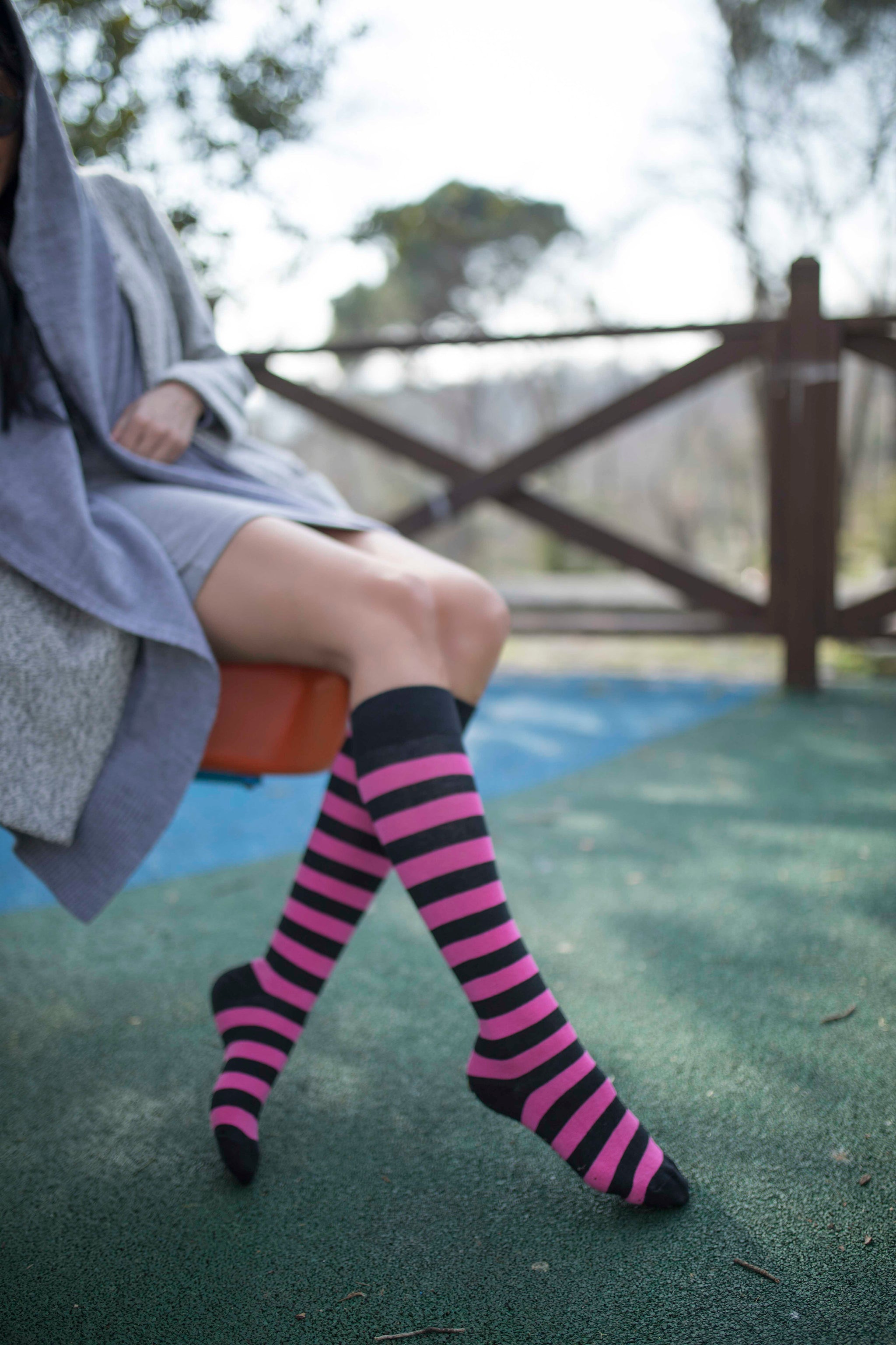 Women's Flamingo Stripe Knee High Socks - Socks n Socks